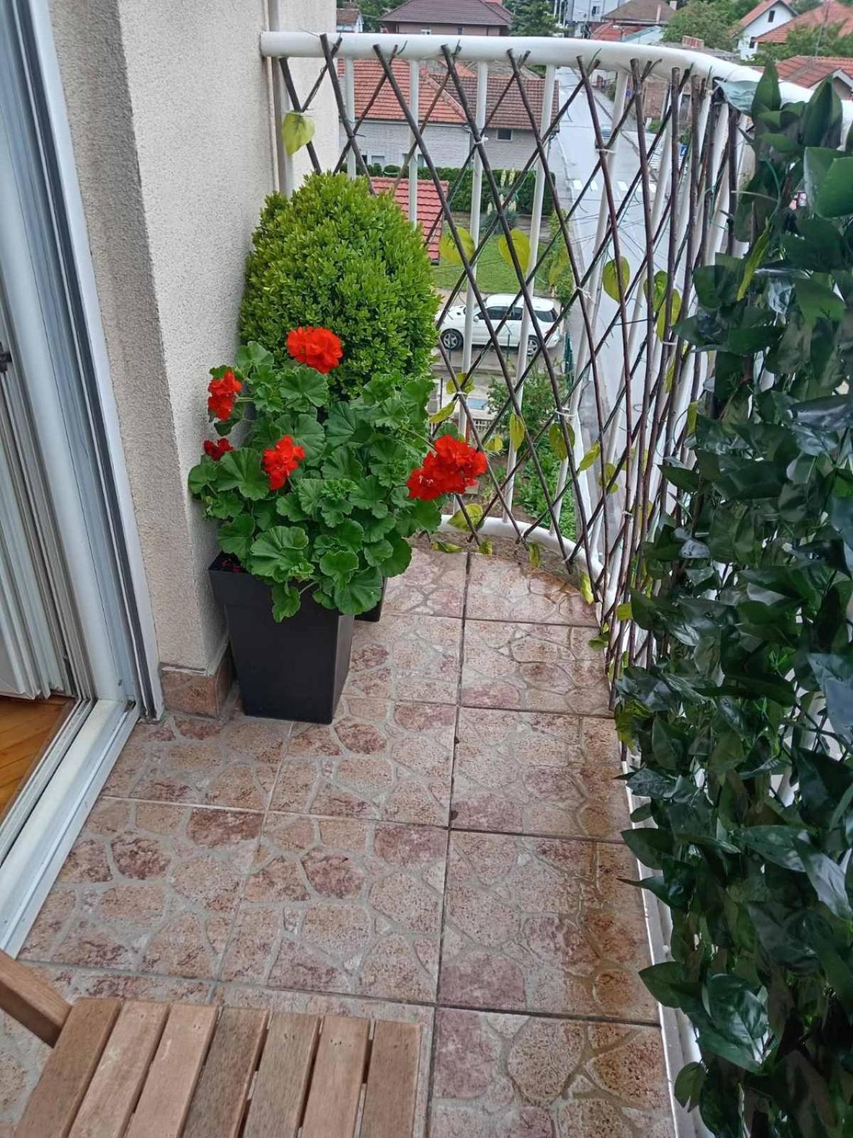 Apartman Centar Požarevac Extérieur photo