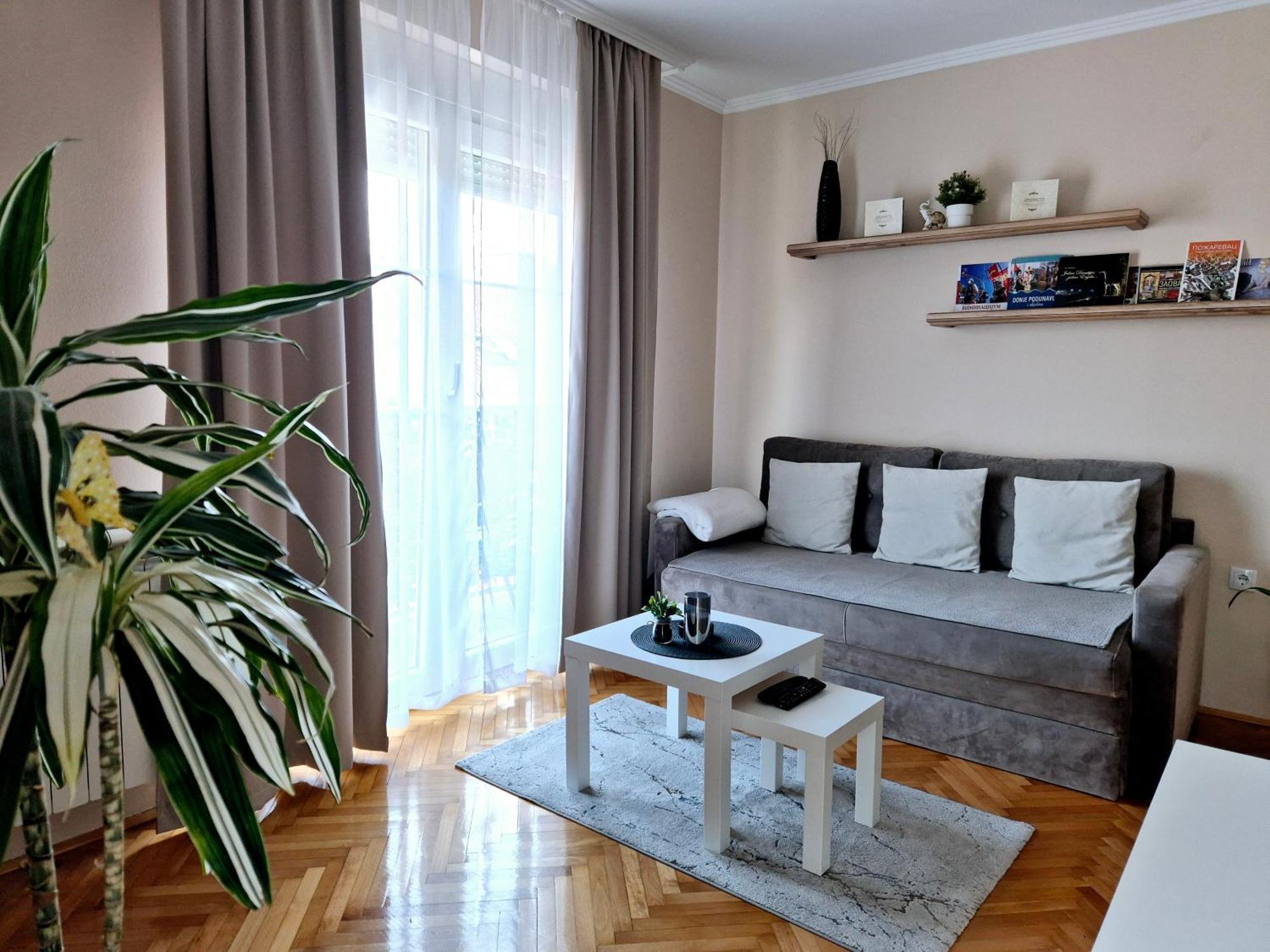 Apartman Centar Požarevac Extérieur photo